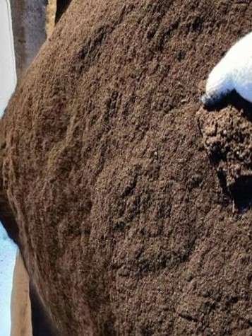 Дробилка для полувлажных материалов5